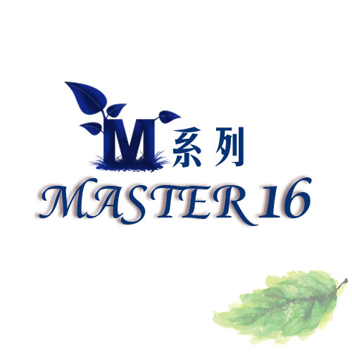 丽声-M型系列MASTER 16耳背式助听器