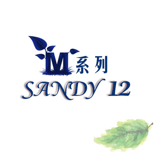 丽声-M型系列SANDY 12耳背式助听器