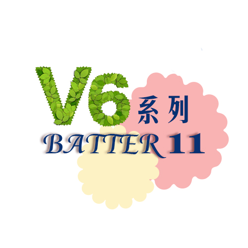 丽声-V6系列BATTER11耳背式助听器